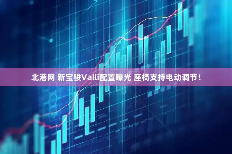 北港网 新宝骏Valli配置曝光 座椅支持电动调节！