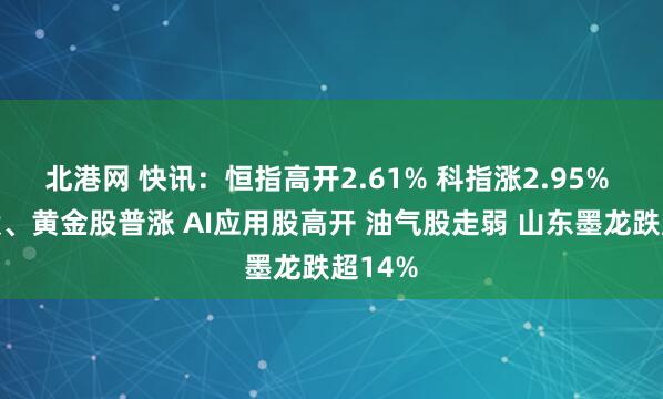 北港网 快讯:恒指高开2.61% 科指涨2.95% 科网股、黄金股普涨 AI应用股高开 油气股走弱 山东墨龙跌超14%