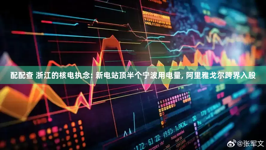 配配查 浙江的核电执念: 新电站顶半个宁波用电量, 阿里雅戈尔跨界入股