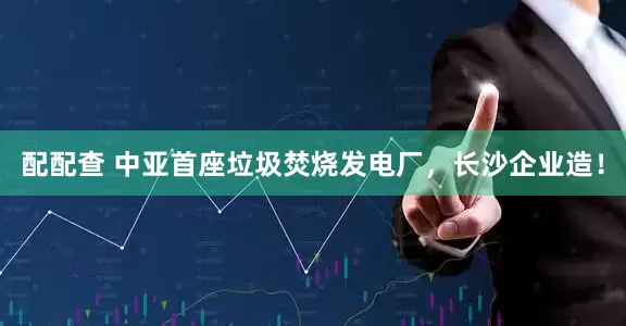 配配查 中亚首座垃圾焚烧发电厂，长沙企业造！